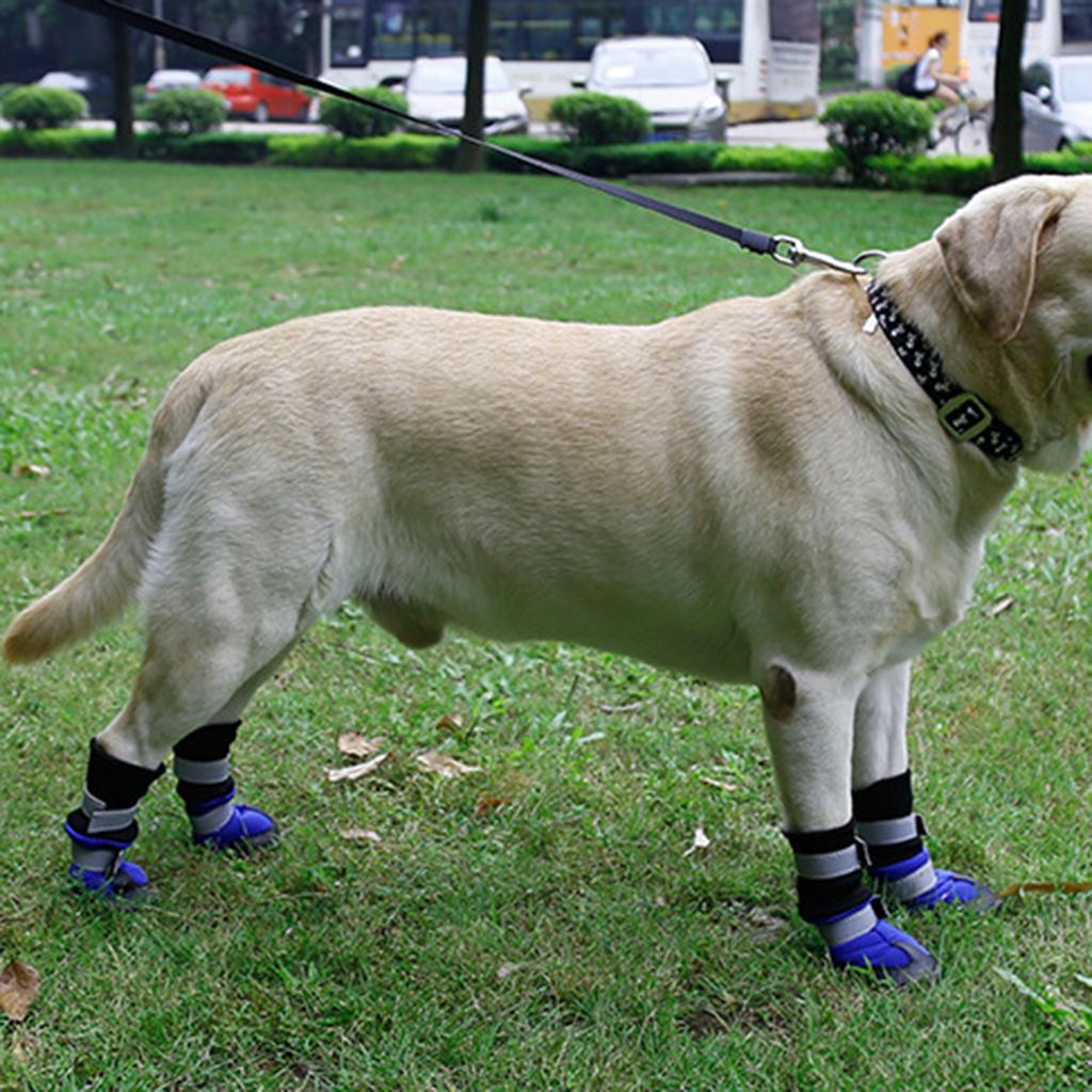 custom made dog boots