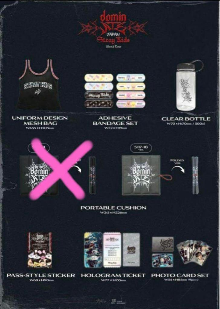 [USED] Stray Kids DominATE Ecopa Upgraded Goods