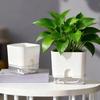 Maceta Auto-Riego Cuadrada con Depósito de Agua Cuerda Mecha Maceta Moderna para Interior Escritorio Decoración del Hogar