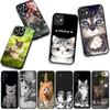 Cover for Apple iPhone 16 15 14 Plus 13 12 Mini 17 Pro Max + ProMax 16E Air 16+ 15+ Coque Phone Case Kitten Cat
