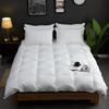 All-Cotton White Goose Down Winter Comforter
