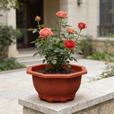 Vaso per Fiori a Circolazione d'Aria Plastica Spessa Traspirante per Bambù Clivia Fori di Drenaggio Vaso per Crescita verso il Basso per Giardino di Casa Balcone