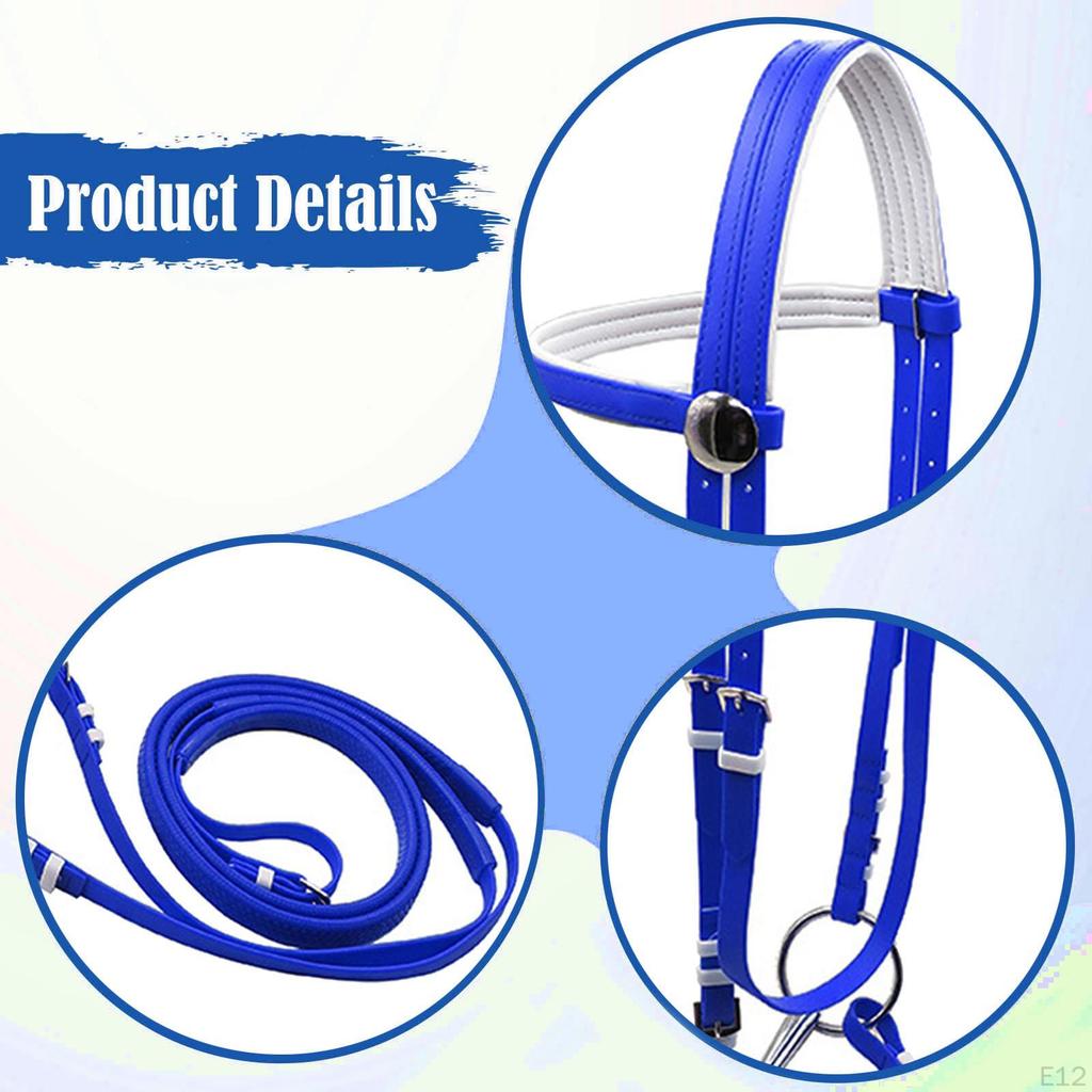 Horse Bridle with Rein Halter Versatile Stainless Steel Bit Headstall Riding Rope for Club