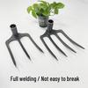 Multi-Tined Agricultural Hoe and Rake for Soil Loosening, Tilling, and Digging