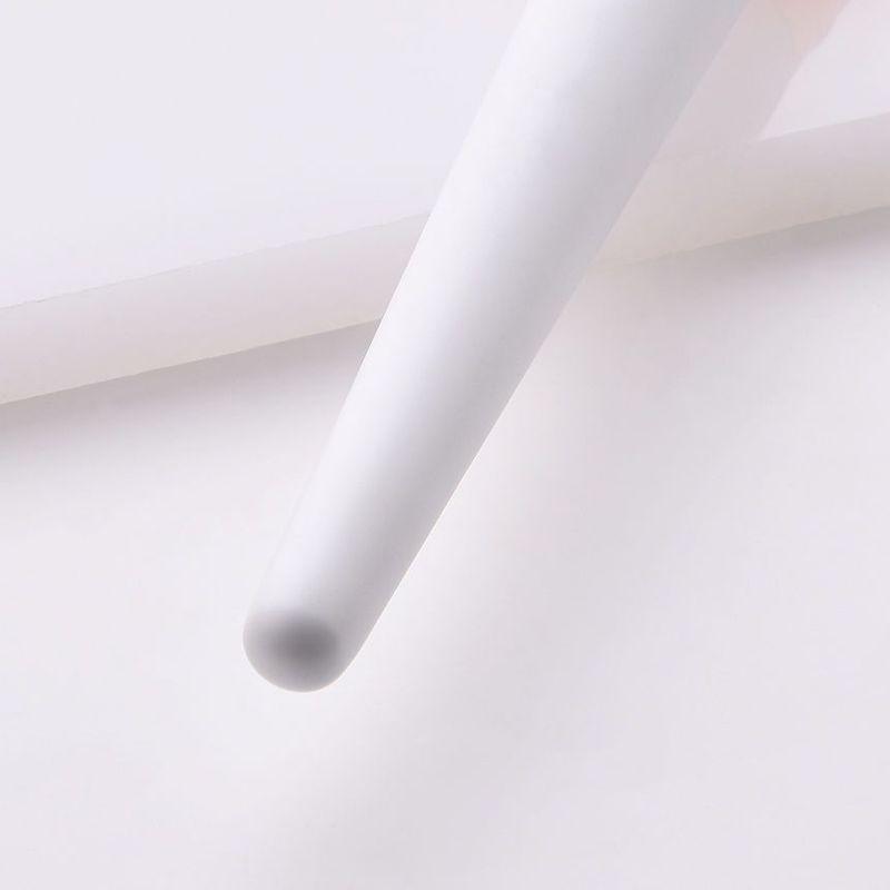 Stroke of Beauty - Large Fan Brush / Powder Brush