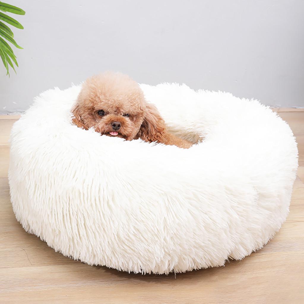 long dog bed