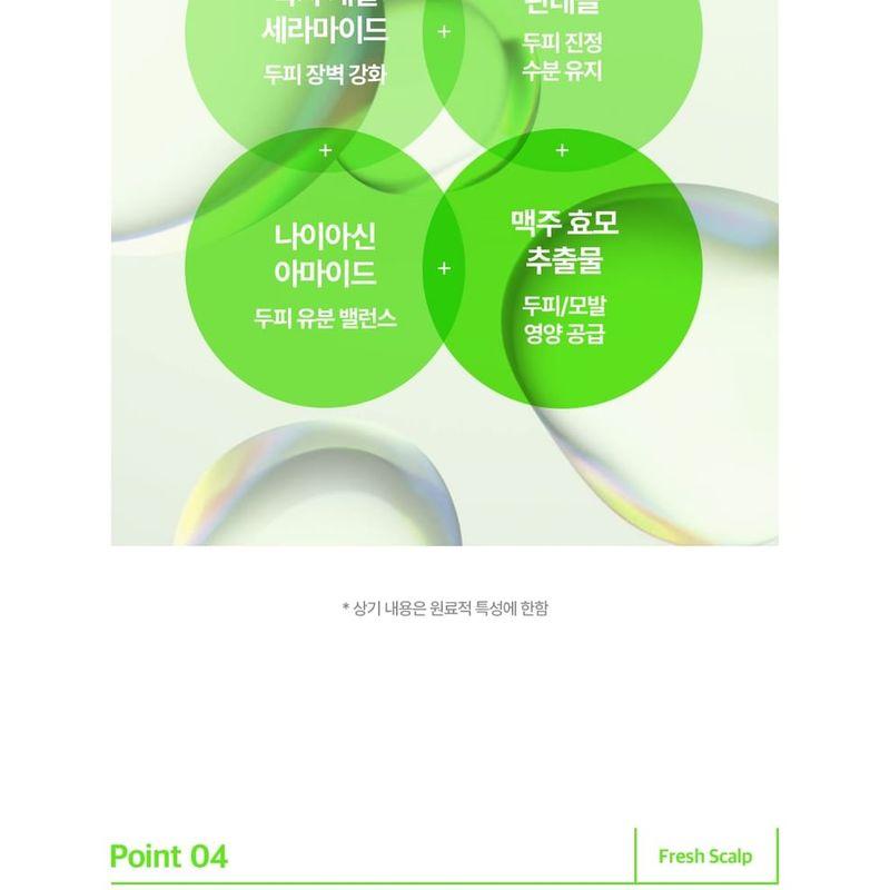 Derma: B - Fresh Scalp Clear Shampoo - 2 Types