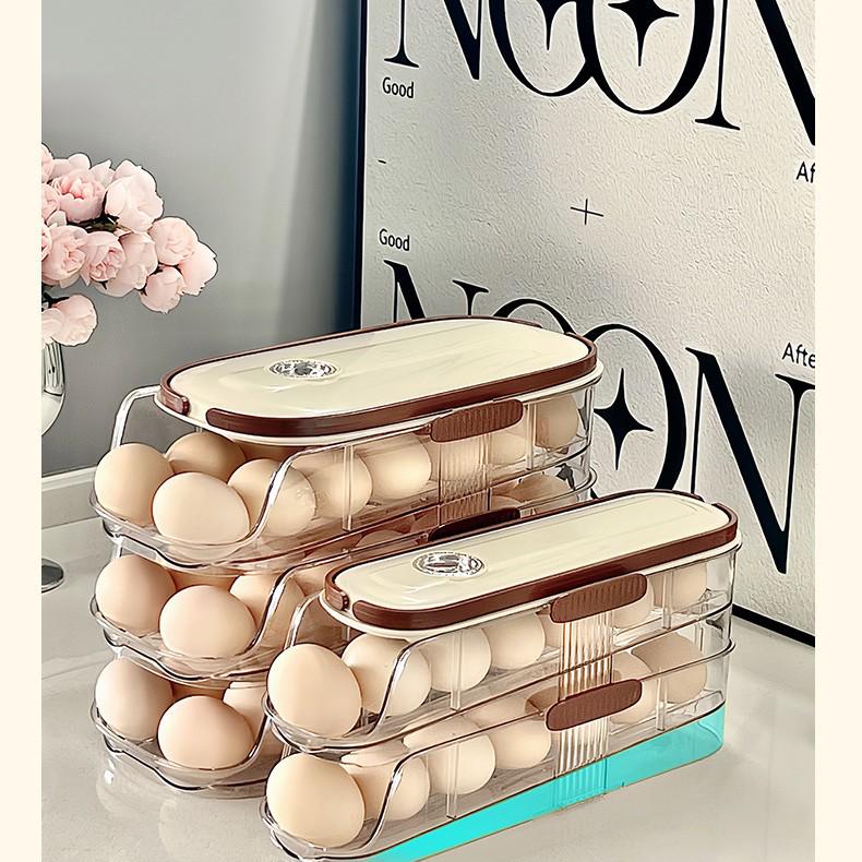 Multi-layer Egg Storage Box with Handle for Refrigerator Door