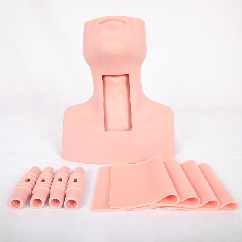 Bingfu Advanced Cricothyroidotomy & Tracheostomy Training Model