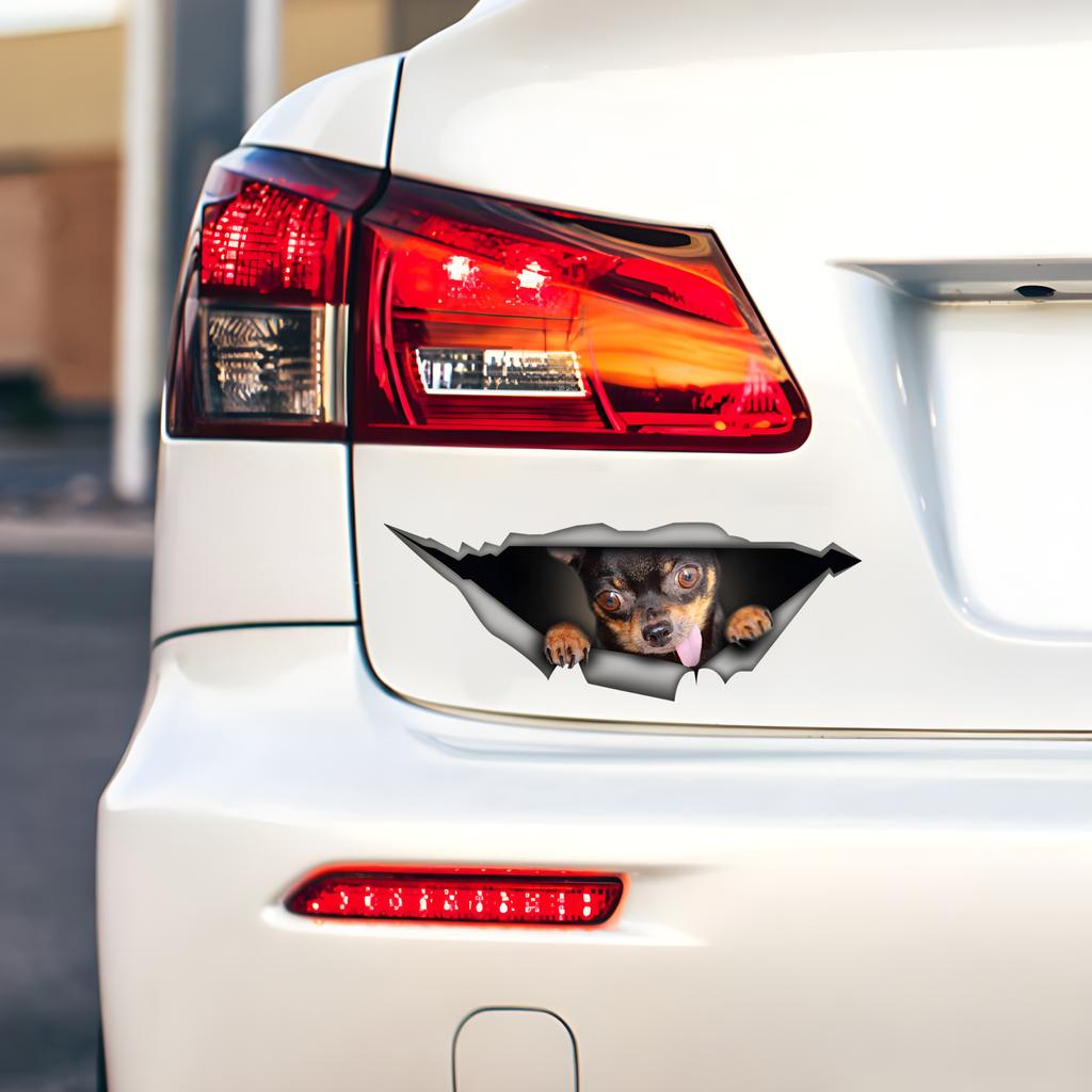 Čivava Samolepky na auto Legrační vodotěsné vinylové nálepky Dekorativní příslušenství pro motocykly, používané pro auta, motocykly, notebooky, dodávky