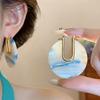 Trendy Leopard Print Earrings Acetic Acid Geometric Earrings Sweet Acetate Hoop Earrings  Women