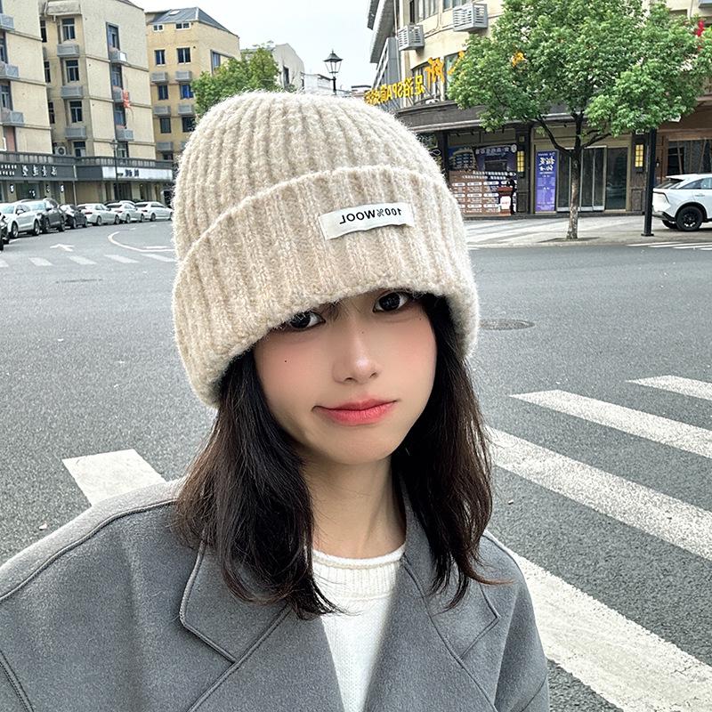 Luochi Knitting Plain Wool Knit Hat - Thick, Warm, Versatile Couple s Hat for Autumn & Winter Korean Style