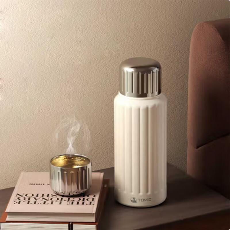 Temeike Titanium Lined Thermal Mug