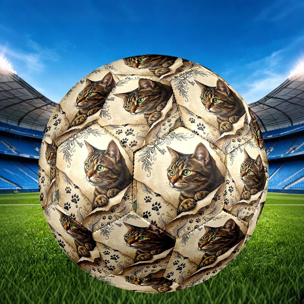 1pc Cat Key Artwork Theme Soccer Ball Football, Size 5, Lightweight PVC, Outdoor Training Soccer Ball,Gift C6590