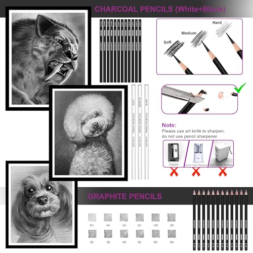 HIFORNY Drawing & Sketching Set, 136-Piece Professional Art Supplies: Graphite, Charcoal, Color, Watercolor, and Metallic Pencils, Blending Tool, Sket