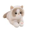Cartoon Simulation Will Be Called Ragdoll Cat Doll Plush Toy Kitten Doll Girl Ragdoll Birthday Gift