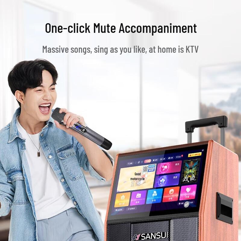 Shanshui PC126 Portable Karaoke Speaker System