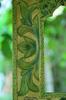 Hand Carved Wooden Jharokha Wall Decor - Indian Flower Design