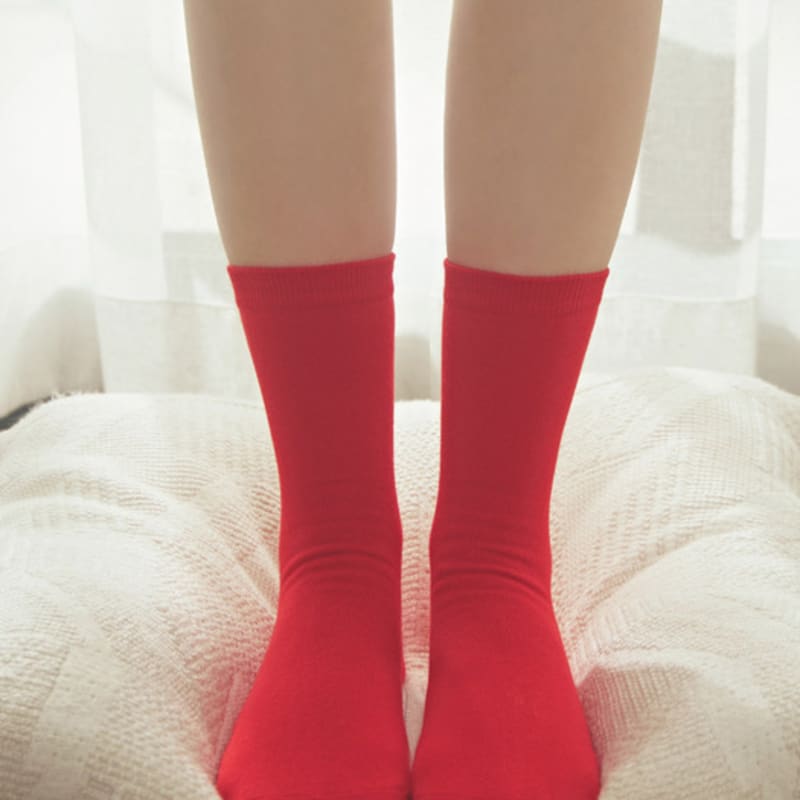 Biarritz Socks Daily Basic Socks 21 Colors