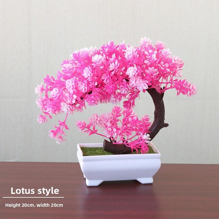 Plastic Bonsai Terrarium With Creative Design For Indoor Garden Display