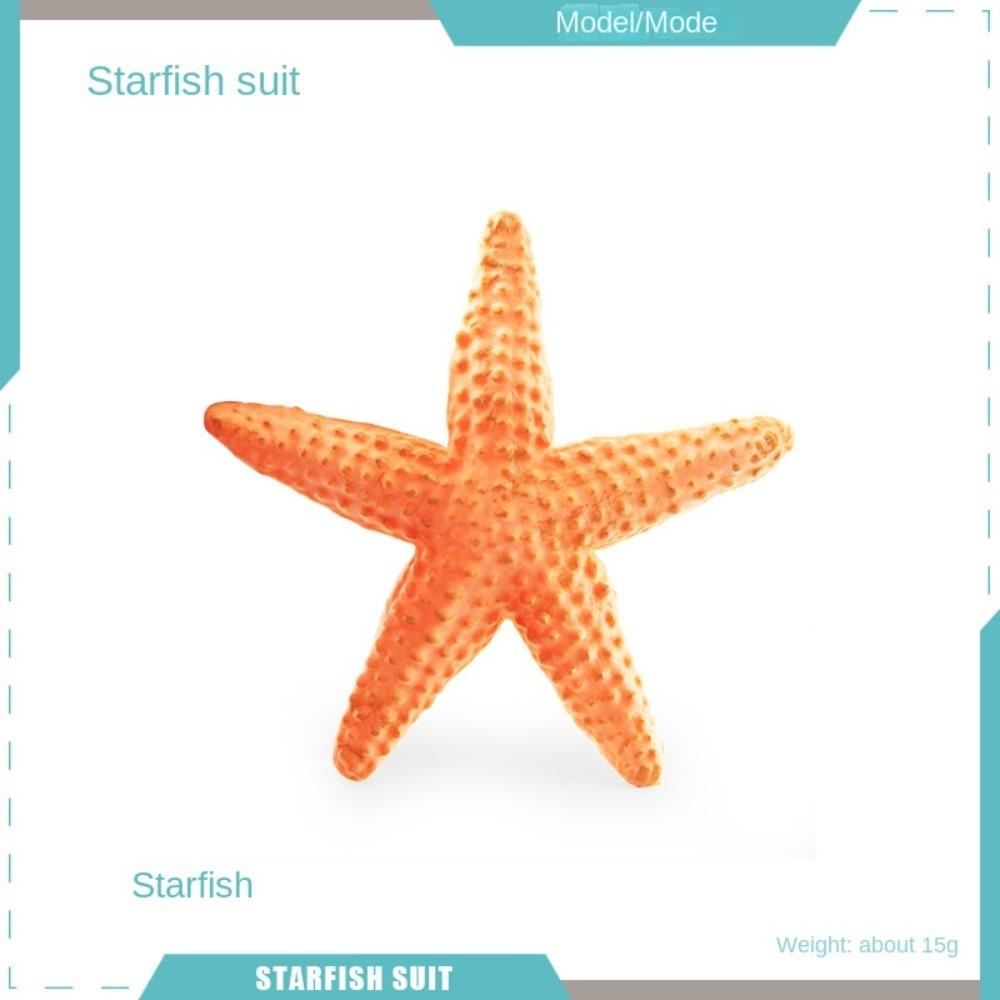 Lifelike Jellyfish Starfish Anemones Marine Animals Sea Life Model  Education Toys