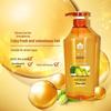 Fenghua Ginger Hair Strengthening Shampoo