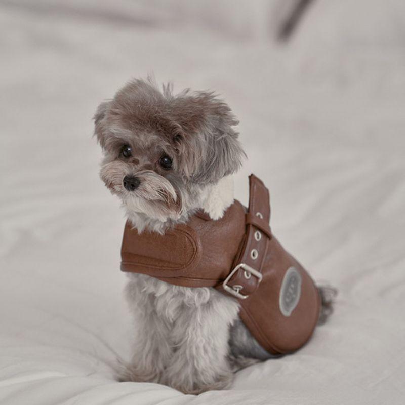 CROOKTHECHIHUAHUA Noel Belted Mustang