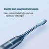 Flyco Smart Sonic Electric Toothbrush FT7105 CN plug (adapter included)