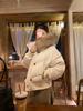 Yu Yan, winter explosion hooded raccoon fur collar small short white duck down jacket warm retro jacket women