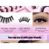 Lashie - Assorted Natural / Dense Multipack False Eyelashes (Various Designs)
