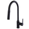 OEING Brass Pull-Out Kitchen Faucet