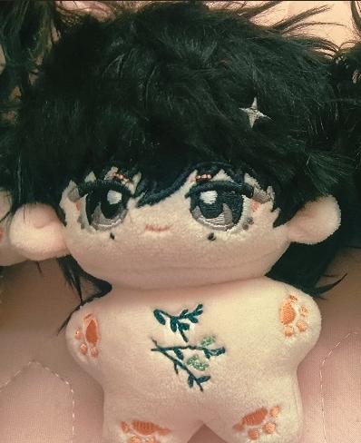 10 Cm Idol Bl Anime Drama Wraak Liefde Po Kaartenset Zi Yu Tian Xuning Pluche Pop Katoenen Aankleed Opgezette Speelgoed Kinderen Cadeaus