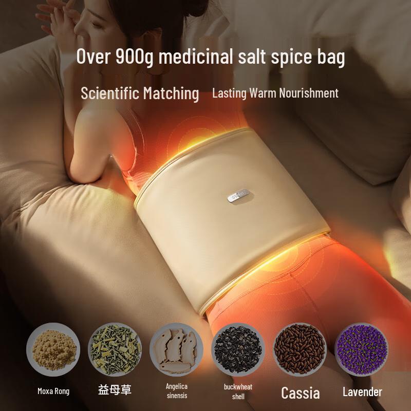 CLORIS Sea Salt Hot Compress Waist Massager CN plug (adapter included)