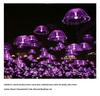 Color-Changing Fiber Optic Jellyfish Pendant Light for Restaurants, Bars, and Outdoor Decor