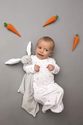 Blankie Angeldear Animal Bunny Gray Rabbit Towel Baby Shower Gift Mini Blanket Plush First Toy Baby Newborn Official Japanese Product Includes Gauze H