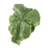 Plastic Fake Lettuce Leaves Green Realistic Salad Green Vegetables  Party Decoration
