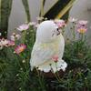 Winter Owl Garden Statue with Light Up LED Figure Solar Light Animal Ornaments Outdoor Figurine Landscape Light