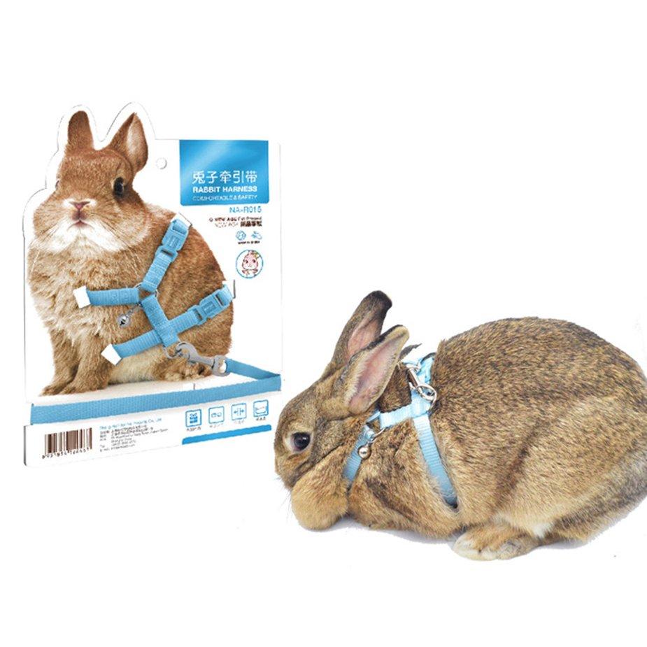 rabbit pet supplies