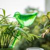Self Watering Shape Watering Bulb Automatic Clear Plant Planter Insert Bird Irrigation Spikes for Indoor