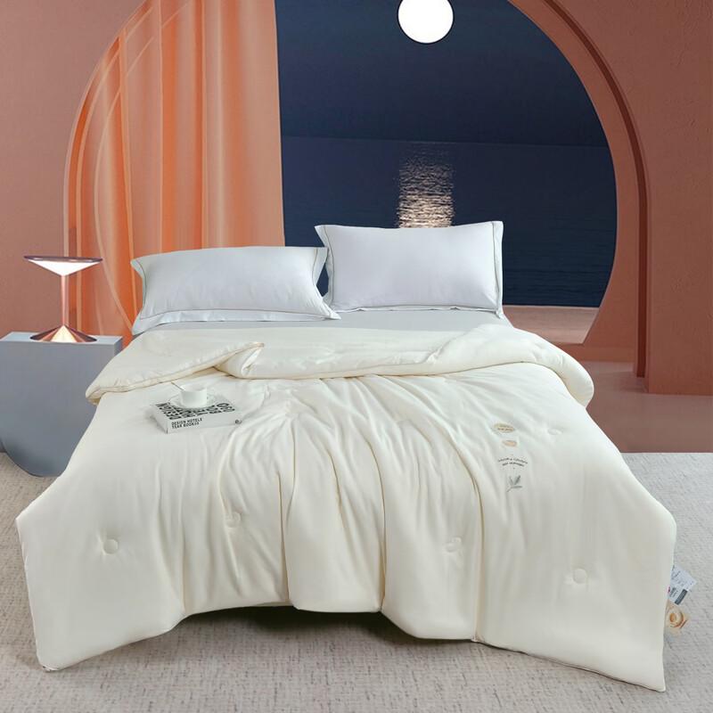 

Jieliya All-Season Soft Fiber Quilt