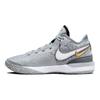 Nike Zoom LeBron NXXT Gen EP Wolf Grey Men Sneakers White Iron-Grey Black DR8788-004