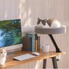 Floating Cat Litter Desktop Cat Bed Office Cat Climbing Frame Desk Cat Climbing Frame