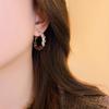 Women's French Tiger Eye & Zircon Round Earrings - Mélange Design & Light Luxury