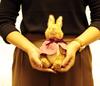 Yoshitoku Peter Rabbit Flopsy Small W12 x H22 x D12cm Acrylic 182615