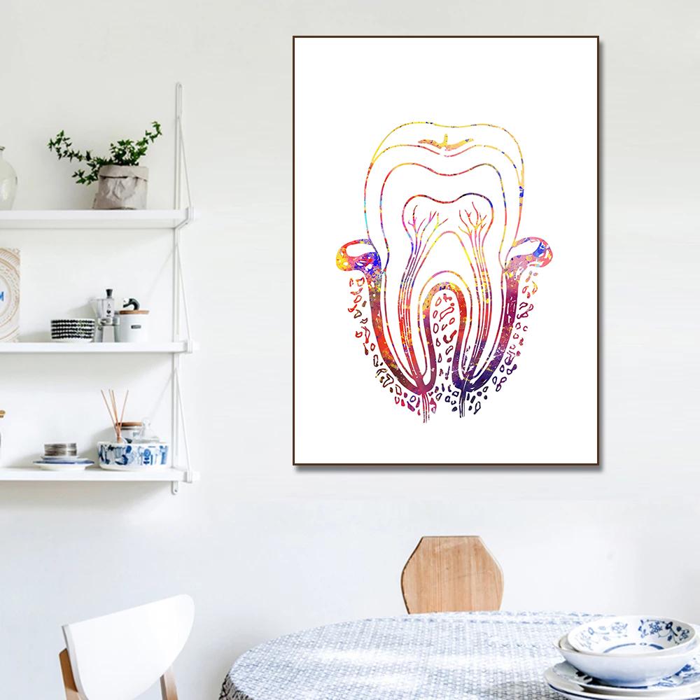 Watercolor Teeth Implant Canvas Painting Tooth Fairy Dental Art Poster Dentist Anatomy Print Wall Pictures Hospital Clinic Decor