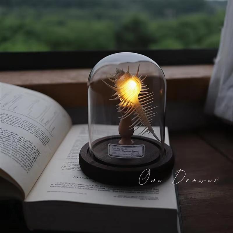 DIY Sea Creature Night Lights Battery Operated Portable Mushroom Lamp Shell Conch Ornament For Home Bedroom Decoration