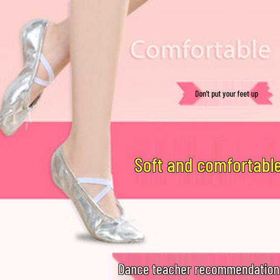 Women's Soft Sole Ballet & Dance Shoes - Gold/Silver, Cat Paw Design