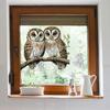 Double-Sided Owl Branch Window Sticker - Cute Home Decoration