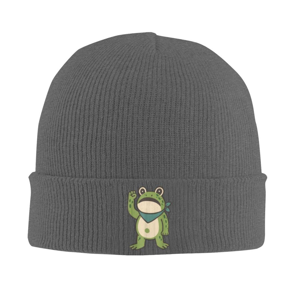 Resist Frog Portland Frog Protest for Men Women Beanie Hats  Knit Hat Adult Unisex Street Y2K Head Wrap Caps Autumn Bonnet Hats