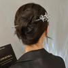 Light Luxury Starry Sky Moonstone Tassel Hairpin Hair Accessory Elegant Hair Stick for Women